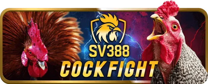 Các chương trình khuyến mãi Bwin